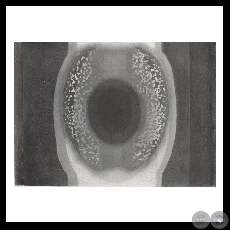 SIN TÍTULO 2 / O.T., 1978 - Grabado de EDITH JIMÉNEZ - Texto JUAN MANUEL PRIETO 